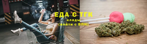СК Каменногорск