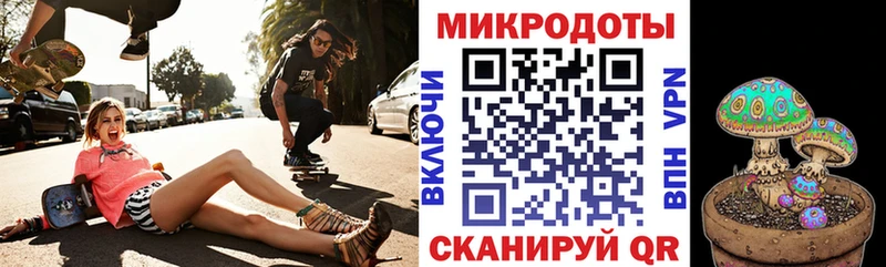 Псилоцибиновые грибы Cubensis  Сортавала 